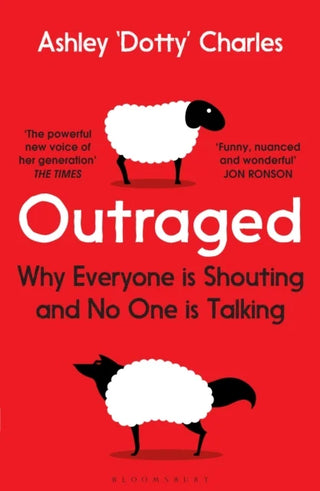 Outraged: Why Everyone is Shouting and No One is Talking cover