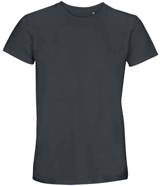 04233 Mouse Grey Front