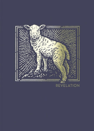 Net Abide Bible Journal - Revelation, Paperback, Comfort Print: Holy Bible