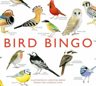 Bird Bingo cover