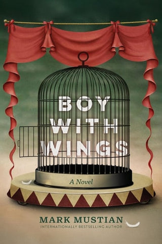 Boy With Wings