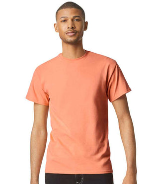 GD05 Tangerine Model