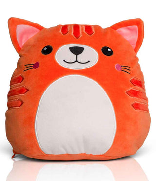 MM800 Orange Ginger Cat Front