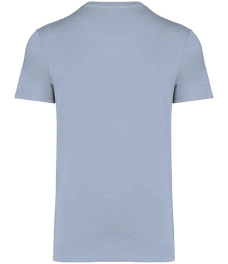 NS305 Aquamarine Back