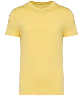 NS305 Pineapple Front