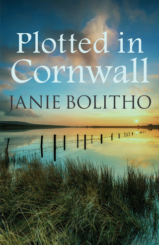 Plotted in Cornwall: The addictive cosy  cover