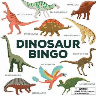 Dinosaur Bingo cover